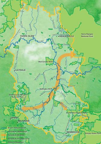 Yarra4Life’s program area encompasses 82,000 hectares of the Yarra Valley extending from the foothills of the Yarra Ranges to the north, Cardinia Reservoir in the south and flanked by the Dandenong Ranges and Bunyip state Park